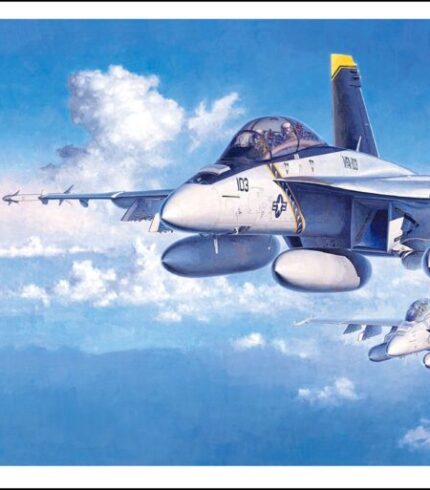 Hasegawa-148-Us-Navy-FA18F-Super-Hornet-Plastic-Model-Pt38-Japan-Figure-0783329155759-1.jpg